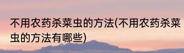 不用农药杀菜虫的方法(不用农药杀菜虫的方法有哪些)