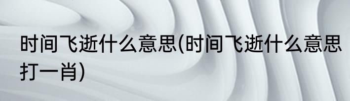 时间飞逝什么意思(时间飞逝什么意思打一肖)