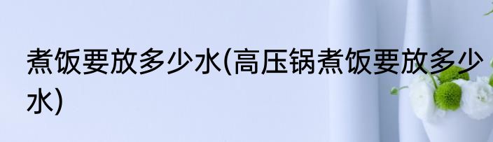 煮饭要放多少水(高压锅煮饭要放多少水)