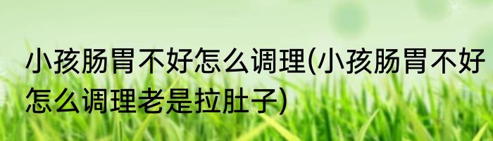小孩肠胃不好怎么调理(小孩肠胃不好怎么调理老是拉肚子)