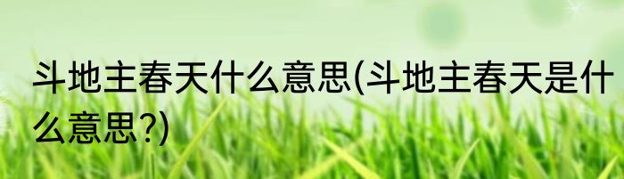 斗地主春天什么意思(斗地主春天是什么意思?)