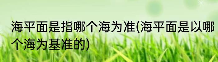 海平面是指哪个海为准(海平面是以哪个海为基准的)