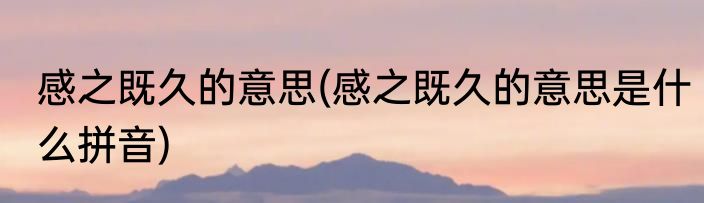 感之既久的意思(感之既久的意思是什么拼音)