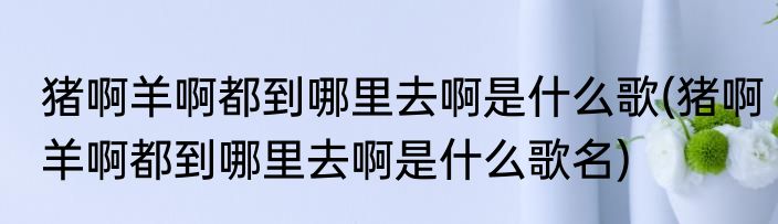 猪啊羊啊都到哪里去啊是什么歌(猪啊羊啊都到哪里去啊是什么歌名)