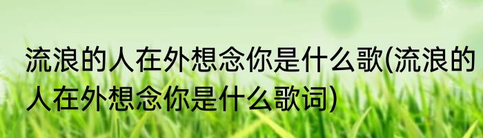流浪的人在外想念你是什么歌(流浪的人在外想念你是什么歌词)