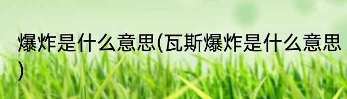 爆炸是什么意思(瓦斯爆炸是什么意思)