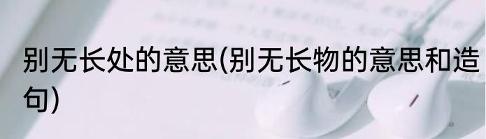 别无长处的意思(别无长物的意思和造句)