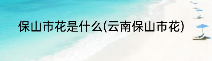 保山市花是什么(云南保山市花)