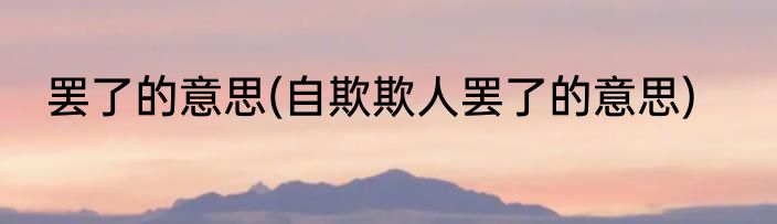 罢了的意思(自欺欺人罢了的意思)