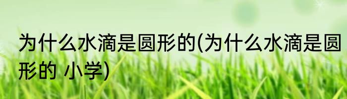 西瓜虫吃什么(西瓜虫吃什么叶子)