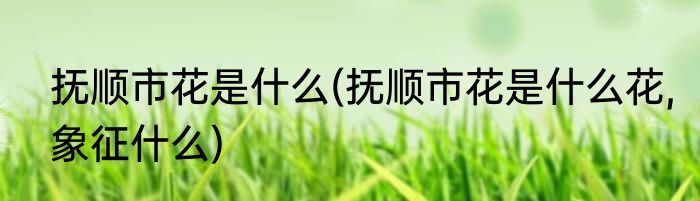 抚顺市花是什么(抚顺市花是什么花,象征什么)
