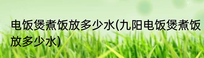 电饭煲煮饭放多少水(九阳电饭煲煮饭放多少水)