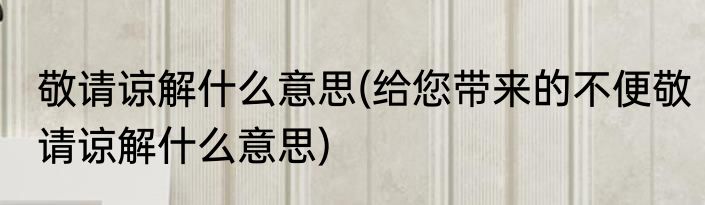 敬请谅解什么意思(给您带来的不便敬请谅解什么意思)