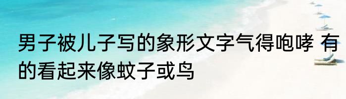 男子被儿子写的象形文字气得咆哮 有的看起来像蚊子或鸟