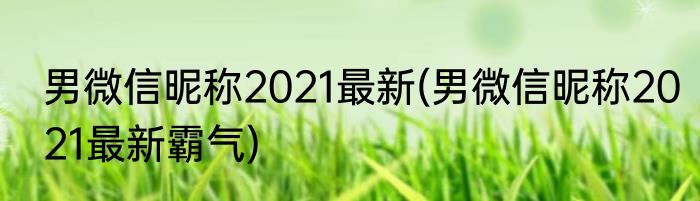 男微信昵称2021最新(男微信昵称2021最新霸气)