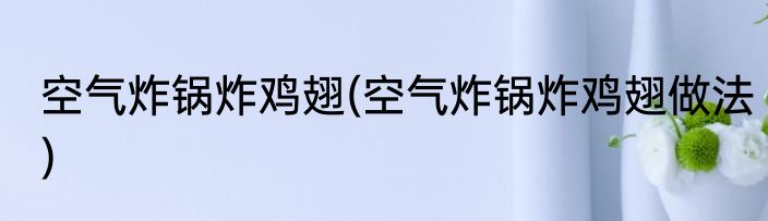 空气炸锅炸鸡翅(空气炸锅炸鸡翅做法)