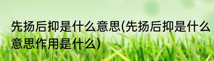 先扬后抑是什么意思(先扬后抑是什么意思作用是什么)