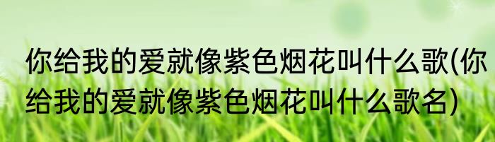 展望未来什么意思(静思过往,亦要展望未来什么意思)