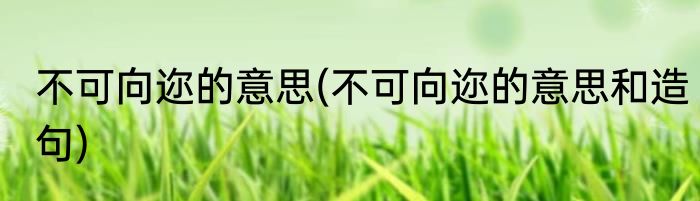 不可向迩的意思(不可向迩的意思和造句)