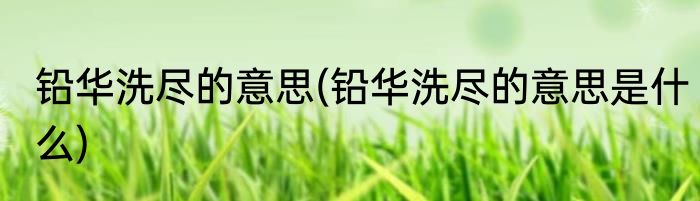 铅华洗尽的意思(铅华洗尽的意思是什么)