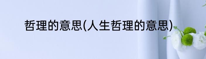 哲理的意思(人生哲理的意思)