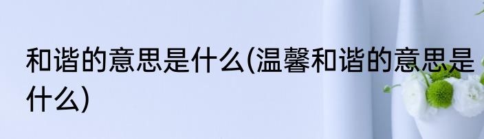 和谐的意思是什么(温馨和谐的意思是什么)