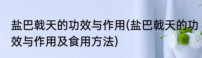 盐巴戟天的功效与作用(盐巴戟天的功效与作用及食用方法)