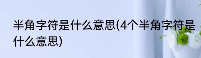 半角字符是什么意思(4个半角字符是什么意思)