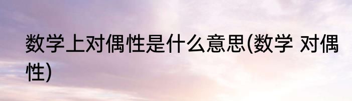 数学上对偶性是什么意思(数学 对偶性)