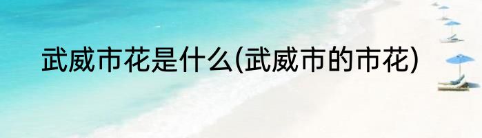武威市花是什么(武威市的市花)