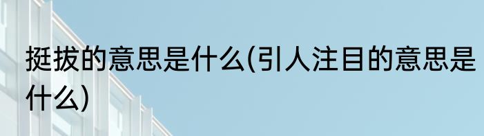 挺拔的意思是什么(引人注目的意思是什么)