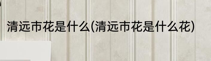 清远市花是什么(清远市花是什么花)