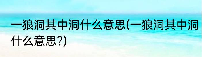一狼洞其中洞什么意思(一狼洞其中洞什么意思?)