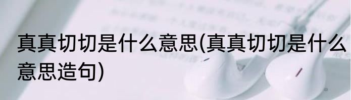 真真切切是什么意思(真真切切是什么意思造句)