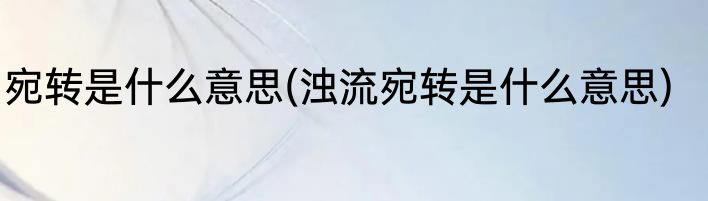 宛转是什么意思(浊流宛转是什么意思)