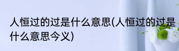 人恒过的过是什么意思(人恒过的过是什么意思今义)