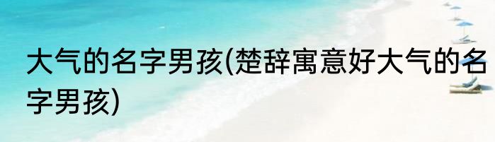 大气的名字男孩(楚辞寓意好大气的名字男孩)