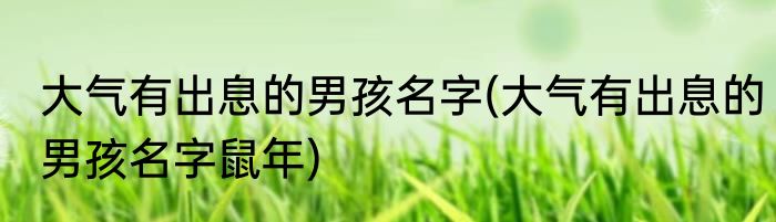 大气有出息的男孩名字(大气有出息的男孩名字鼠年)