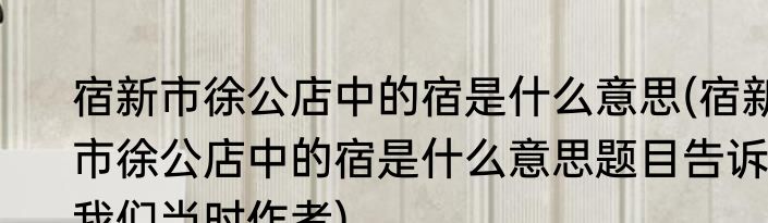 宿新市徐公店中的宿是什么意思(宿新市徐公店中的宿是什么意思题目告诉我们当时作者)