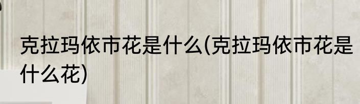 克拉玛依市花是什么(克拉玛依市花是什么花)