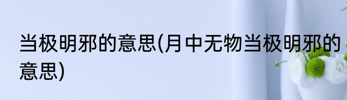 当极明邪的意思(月中无物当极明邪的意思)