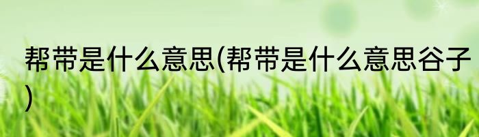 帮带是什么意思(帮带是什么意思谷子)