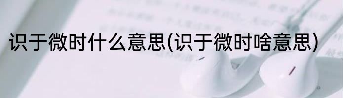 识于微时什么意思(识于微时啥意思)