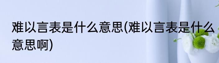 难以言表是什么意思(难以言表是什么意思啊)