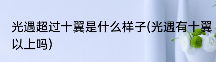 光遇超过十翼是什么样子(光遇有十翼以上吗)