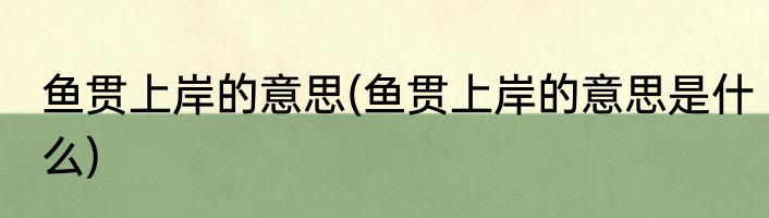 鱼贯上岸的意思(鱼贯上岸的意思是什么)