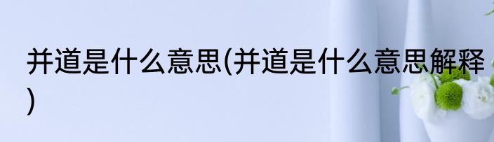 并道是什么意思(并道是什么意思解释)