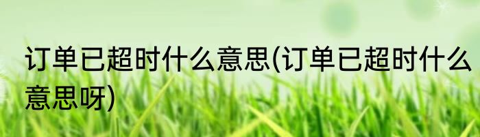 订单已超时什么意思(订单已超时什么意思呀)