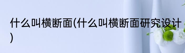 什么叫横断面(什么叫横断面研究设计)