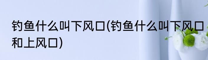 钓鱼什么叫下风口(钓鱼什么叫下风口和上风口)